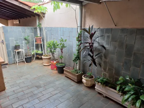 Comprar Casa / Padr&atilde;o em S&atilde;o Jos&eacute; do Rio Preto R$ 280.000,00 - Foto 13