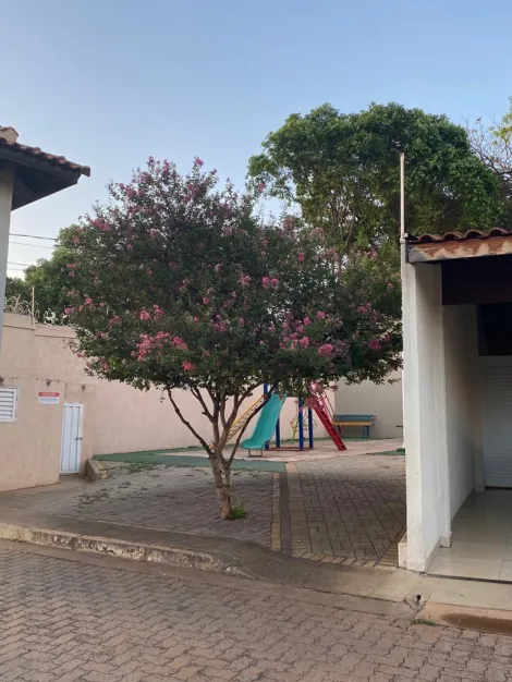 Comprar Casa / Condom&iacute;nio em S&atilde;o Jos&eacute; do Rio Preto R$ 450.000,00 - Foto 29