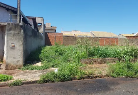 Terreno / Padr&atilde;o em S&atilde;o Jos&eacute; do Rio Preto 