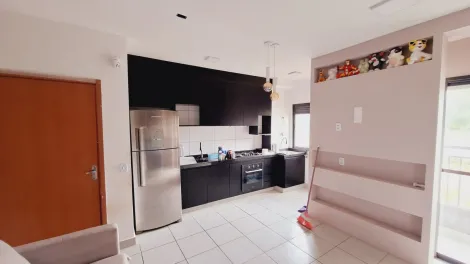 Alugar Apartamento / Padr&atilde;o em S&atilde;o Jos&eacute; do Rio Preto. apenas R$ 900,00