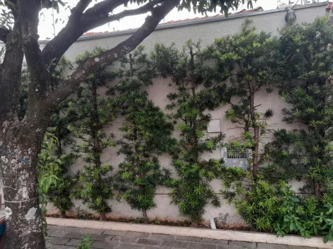 Alugar Casa / Padr&atilde;o em S&atilde;o Jos&eacute; do Rio Preto R$ 2.700,00 - Foto 28