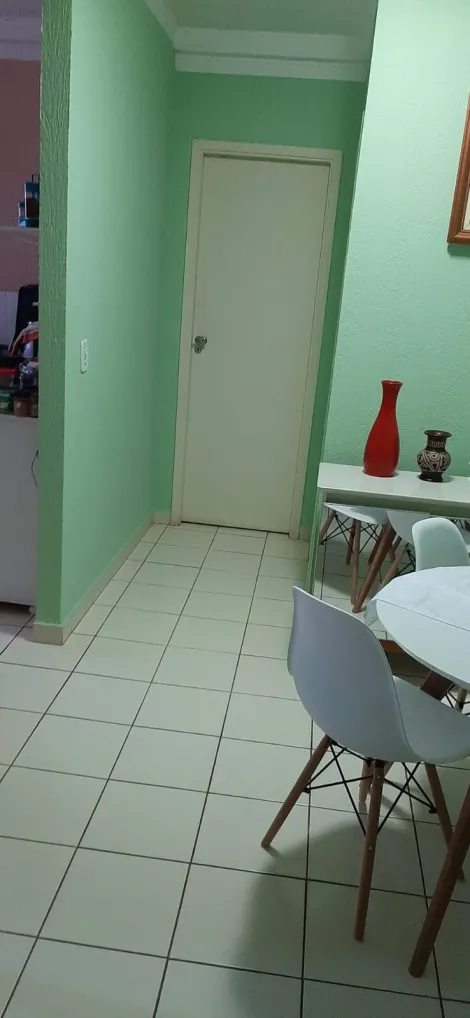 Alugar Apartamento / Padr&atilde;o em S&atilde;o Jos&eacute; do Rio Preto R$ 1.200,00 - Foto 5