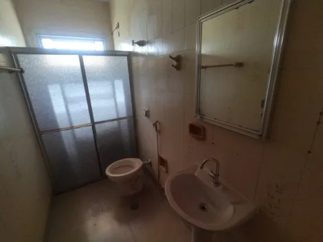 Alugar Apartamento / Padr&atilde;o em S&atilde;o Jos&eacute; do Rio Preto R$ 1.900,00 - Foto 13