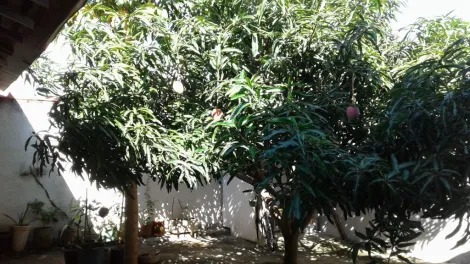 Comprar Casa / Padr&atilde;o em S&atilde;o Jos&eacute; do Rio Preto R$ 260.000,00 - Foto 14
