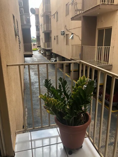 Comprar Apartamento / Padr&atilde;o em S&atilde;o Jos&eacute; do Rio Preto R$ 195.000,00 - Foto 16