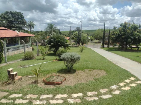 Comprar Rural / Ch&aacute;cara em Adolfo R$ 480.000,00 - Foto 4