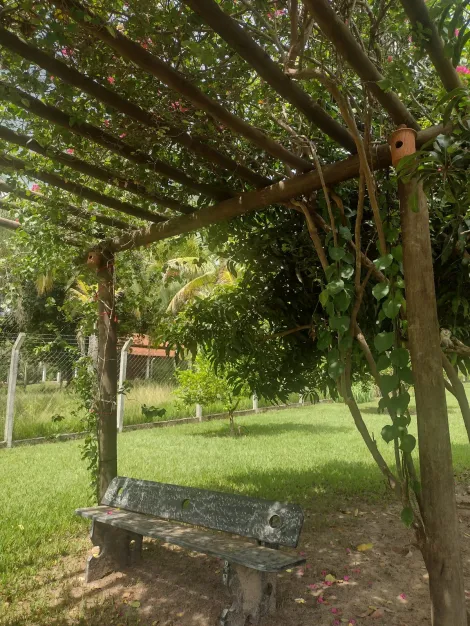 Comprar Rural / Ch&aacute;cara em Adolfo R$ 480.000,00 - Foto 5