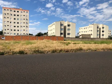 Comprar Terreno / Padr&atilde;o em Ara&ccedil;atuba R$ 460.000,00 - Foto 2