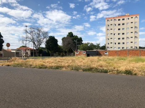 Comprar Terreno / Padr&atilde;o em Ara&ccedil;atuba R$ 460.000,00 - Foto 3