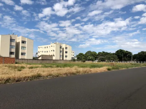 Comprar Terreno / Padr&atilde;o em Ara&ccedil;atuba R$ 460.000,00 - Foto 5