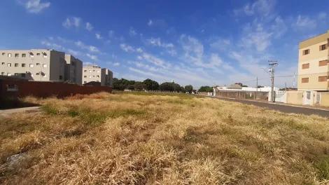 Comprar Terreno / Padr&atilde;o em Ara&ccedil;atuba R$ 460.000,00 - Foto 4