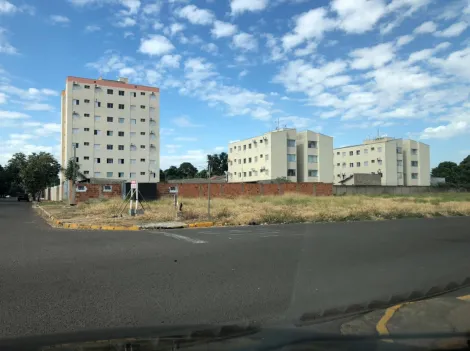 Comprar Terreno / Padr&atilde;o em Ara&ccedil;atuba R$ 460.000,00 - Foto 7