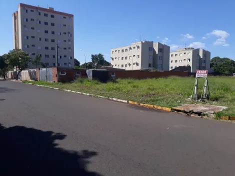 Comprar Terreno / Padr&atilde;o em Ara&ccedil;atuba R$ 460.000,00 - Foto 8