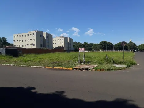 Comprar Terreno / Padr&atilde;o em Ara&ccedil;atuba R$ 460.000,00 - Foto 9