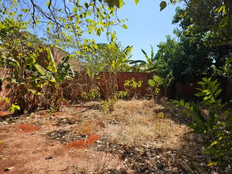 Comprar Rural / Ch&aacute;cara em S&atilde;o Jos&eacute; do Rio Preto R$ 250.000,00 - Foto 9