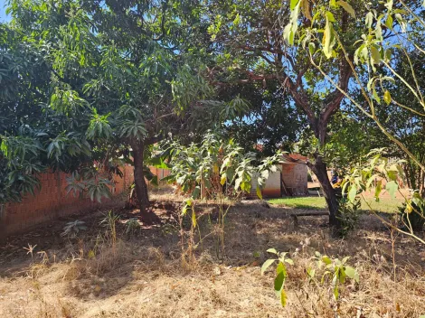 Comprar Rural / Ch&aacute;cara em S&atilde;o Jos&eacute; do Rio Preto R$ 250.000,00 - Foto 10