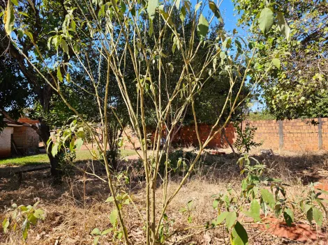 Comprar Rural / Ch&aacute;cara em S&atilde;o Jos&eacute; do Rio Preto R$ 250.000,00 - Foto 13