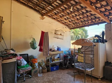 Comprar Rural / Ch&aacute;cara em S&atilde;o Jos&eacute; do Rio Preto R$ 250.000,00 - Foto 27