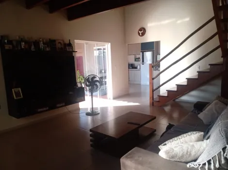 Comprar Rural / Ch&aacute;cara em S&atilde;o Jos&eacute; do Rio Preto R$ 800.000,00 - Foto 3