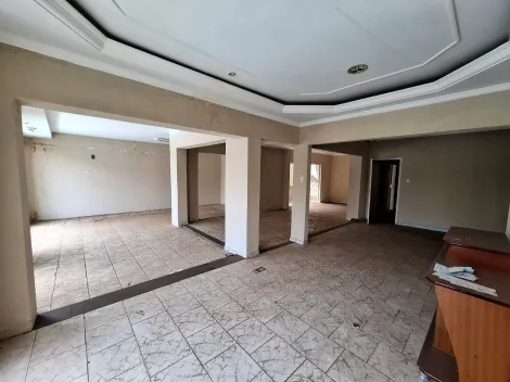 Comercial / Sal&atilde;o em S&atilde;o Jos&eacute; do Rio Preto 