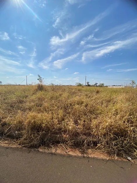 Alugar Terreno / Padr&atilde;o em S&atilde;o Jos&eacute; do Rio Preto. apenas R$ 168.000,00