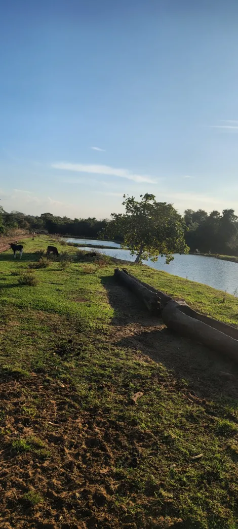 Rural / Fazenda em Cachoeira Alta 