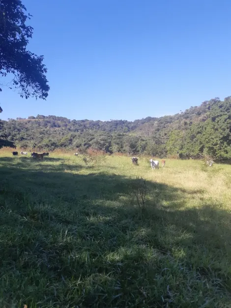 Comprar Rural / Fazenda em Cachoeira Alta R$ 6.800.000,00 - Foto 3