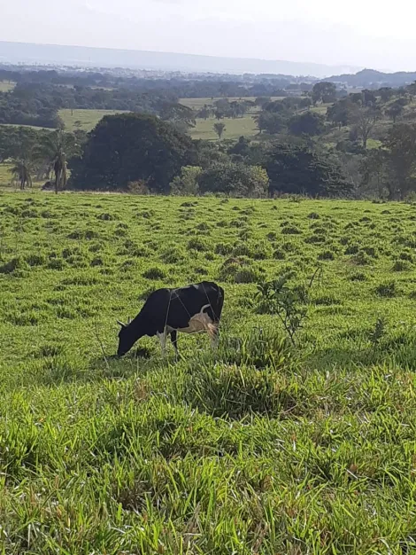Comprar Rural / Fazenda em Cachoeira Alta R$ 6.800.000,00 - Foto 4