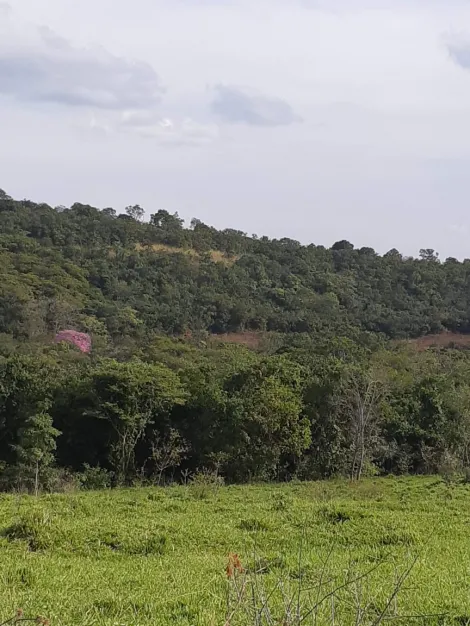 Comprar Rural / Fazenda em Cachoeira Alta R$ 6.800.000,00 - Foto 10
