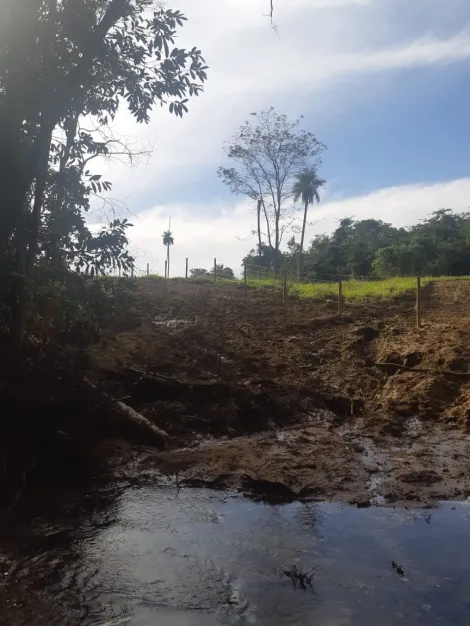 Comprar Rural / Fazenda em Cachoeira Alta R$ 6.800.000,00 - Foto 11
