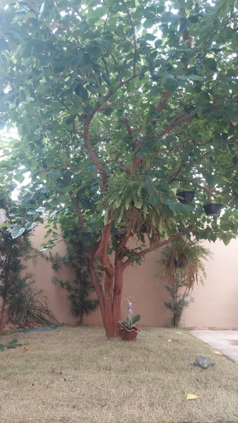 Comprar Casa / Padr&atilde;o em Mirassol R$ 550.000,00 - Foto 15