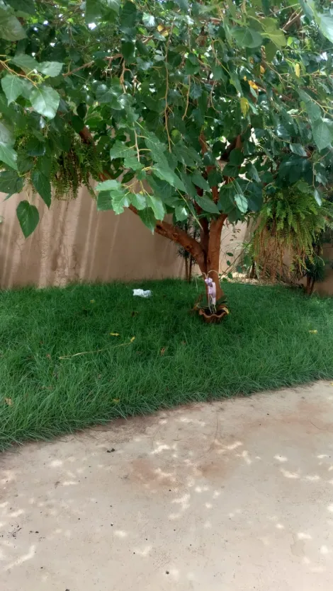 Comprar Casa / Padr&atilde;o em Mirassol R$ 550.000,00 - Foto 16