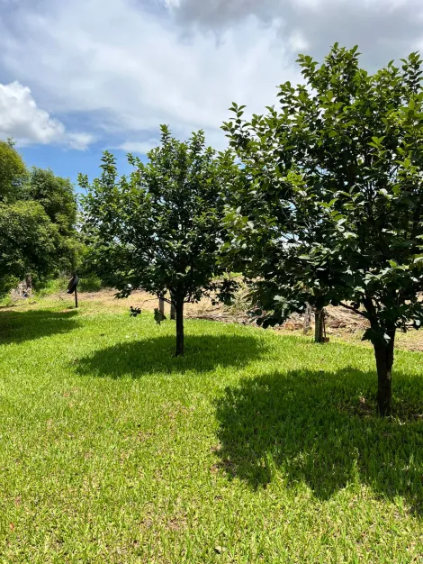 Rural / Ch&aacute;cara em Potirendaba 