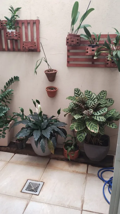 Comprar Casa / Padr&atilde;o em S&atilde;o Jos&eacute; do Rio Preto R$ 480.000,00 - Foto 7