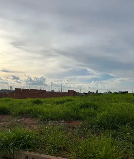 Comprar Terreno / Condom&iacute;nio em S&atilde;o Jos&eacute; do Rio Preto R$ 300.000,00 - Foto 5