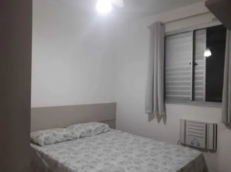 Alugar Apartamento / Padr&atilde;o em S&atilde;o Jos&eacute; do Rio Preto R$ 850,00 - Foto 11