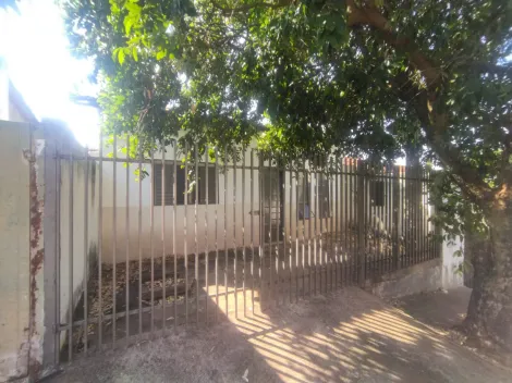 Alugar Casa / Padr&atilde;o em S&atilde;o Jos&eacute; do Rio Preto. apenas R$ 900,00