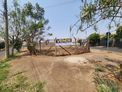 Terreno / Padr&atilde;o em S&atilde;o Jos&eacute; do Rio Preto 