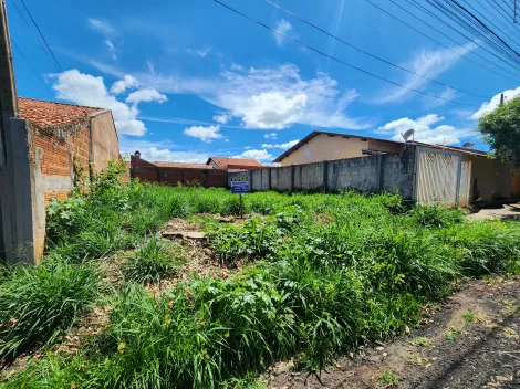 Terreno / Padr&atilde;o em S&atilde;o Jos&eacute; do Rio Preto 