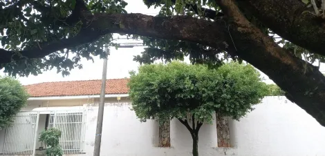 Alugar Casa / Padr&atilde;o em S&atilde;o Jos&eacute; do Rio Preto. apenas R$ 3.500,00