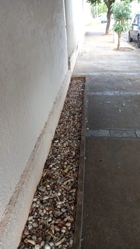 Alugar Casa / Padr&atilde;o em S&atilde;o Jos&eacute; do Rio Preto R$ 3.500,00 - Foto 11