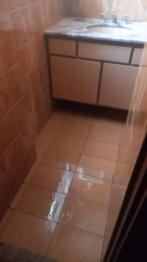 Alugar Casa / Padr&atilde;o em S&atilde;o Jos&eacute; do Rio Preto R$ 3.500,00 - Foto 12