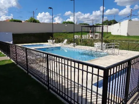 Alugar Apartamento / Padr&atilde;o em S&atilde;o Jos&eacute; do Rio Preto R$ 822,74 - Foto 14