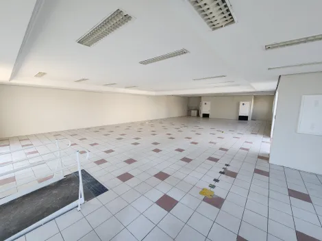 Comercial / Sal&atilde;o em S&atilde;o Jos&eacute; do Rio Preto 