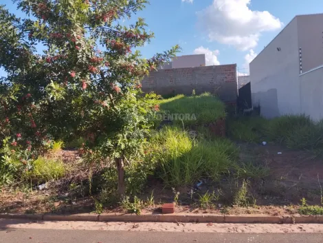 Alugar Terreno / Padr&atilde;o em S&atilde;o Jos&eacute; do Rio Preto. apenas R$ 110.000,00