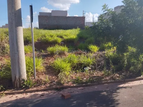 Comprar Terreno / Padr&atilde;o em S&atilde;o Jos&eacute; do Rio Preto R$ 110.000,00 - Foto 3