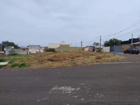 Alugar Terreno / Padr&atilde;o em Bady Bassitt. apenas R$ 100.000,00
