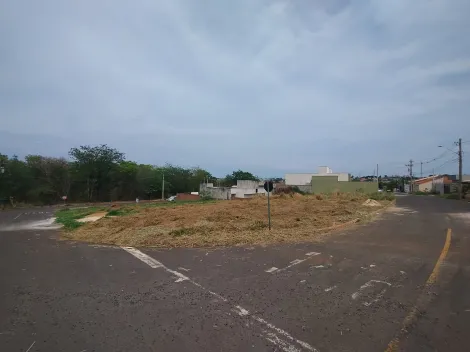 Comprar Terreno / Padr&atilde;o em Bady Bassitt R$ 100.000,00 - Foto 2