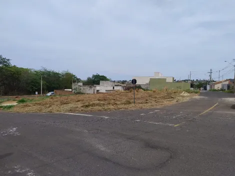 Comprar Terreno / Padr&atilde;o em Bady Bassitt R$ 100.000,00 - Foto 3