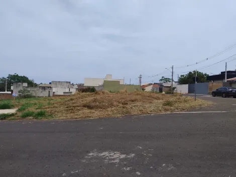 Comprar Terreno / Padr&atilde;o em Bady Bassitt R$ 100.000,00 - Foto 4